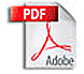 PDF File